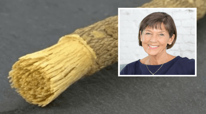Shmangni trajtimet e panevojshme dentare : Dr. Ellie tregon rëndësinë e Misvak-ut në higjienën orale